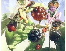 kb Cross Tom Aut Blackberry Fairy. Крест, Том