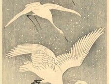 pic02290. �����