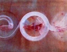 Morris Graves - Waking, Walking, Singing into the Next Dimension, De. ������, ������