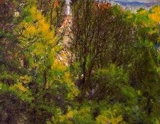 46895. Roca, 