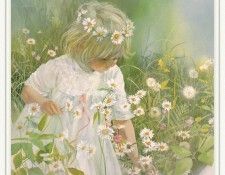 BlishCarolyn-DaisyCrown-sj. ����, �������