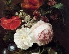 Schotel Christina Flower still life Sun . Schotel, 