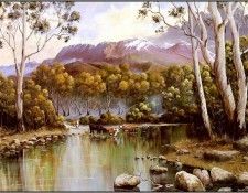 pa GeorgePhillips AustralianBush 08. �������, ������