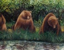 bear2 op 800x395. Nordwall, 