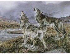 kb Agnew Al-Untitled-03. ����, Al