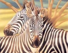 s4-vanishingspecies034-mountainzebra. , L