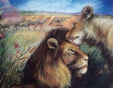 IS3 047 Randie Wasserman 00 (Time for a Rest). ���������, Randie