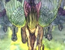 vc kaluta06. Kaluta, �����