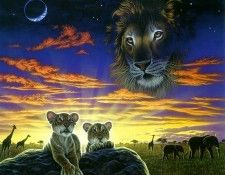 05b. Schimmel, ������