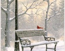 GlasnapKathy-NorthernCardinal-1995-sj. Glasnap, ����