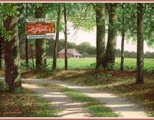 Harrison08 sj. ��������, ����