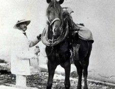 Dagnan Photo Horses2. Dagnan-Bouveret, --