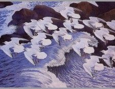 43618. Tunnicliffe, 