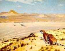Tiger on the Watch2. , -