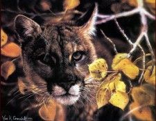 lrsCrandallVivi-GoldenEyes. Crandall, 