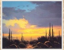 JenningsWilliamScott SaguaroSunset-We. ,  