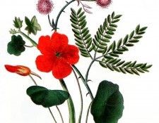 Barbara Milo Ohrbach - A Token of Friendship 20, De. Ohrbach, ������� Milo