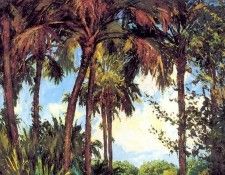 gentle breezes csg047 orange groove. ������, ������� ������