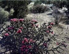 File4892. ������, �����