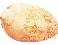 22970. , 