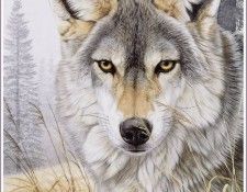 kb Agnew Al-Untitled-01. ����, Al