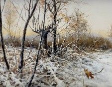 Verstappen Pieter Nature 70 Sun. Verstappen, �����