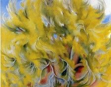File9355. OKeeeffe, 