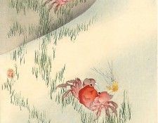 pic09412. �����