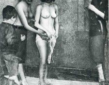 art 135. ��������, ��������