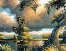 sam newton-illustrated landscapes csg045. , 