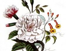 Barbara Milo Ohrbach - A Token of Friendship 07, De. Ohrbach, ������� Milo