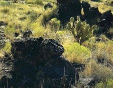 File4913. ����� ������ - ����� (���)