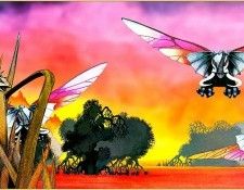 Mnn RDV SWD   Osibisa. ������, �����