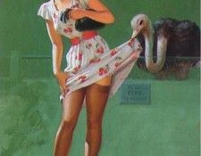 fa010. ����, ���������