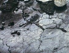 art 702. ������, �����