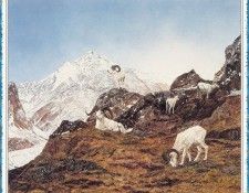 BrunkenShelley DenaliFaces-We. Brunken, �����