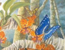 s4-vanishingspecies042-butterfly. , L