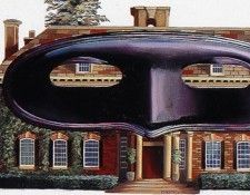 zFox SDC 221 IS09 Karen Chandler 03. �������, �����