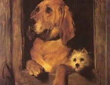 landseer1.   