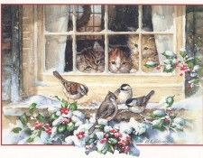 lrsXmas011EdwardsMK-CuriousKittens. , MK