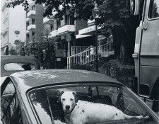 image 335. Eisenstaedt - ��������