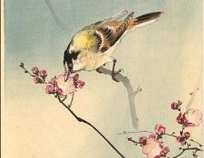 pic02210. �����