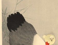 pic09309. �����