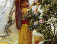 35028. ��������, �������� �����