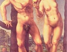 1525 Adam and Eve in Paradise.   