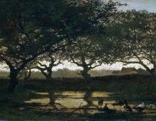 Bilders Albert Gerard Forest pond at sunset Sun. Bilders, 