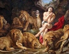 47588032.IMG 5508600. ��������, ������