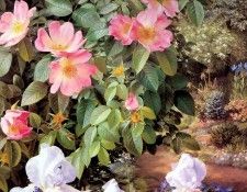 an artists garden csg002. ���, �������