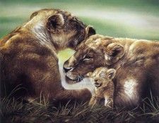 kb Harrison African Lionesses With Cub. ��������, �����