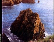 p@sdc sbr007 Mullion Cove 1995. , 